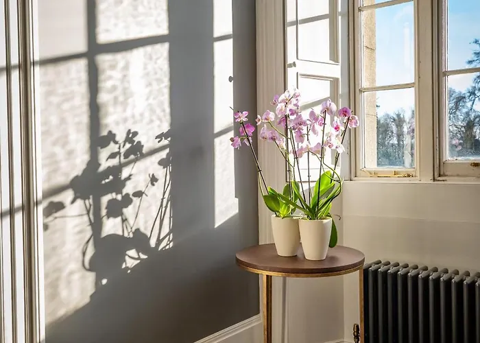 Bed & Breakfast Kilfane House